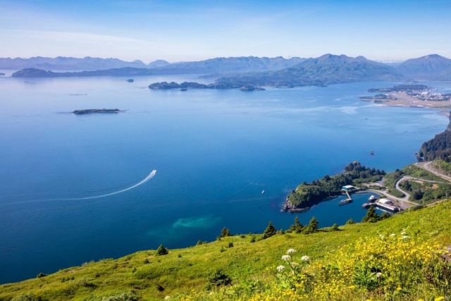 View of Kodiak Alaska